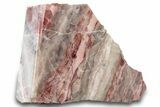 Polished Kona Dolomite (Stromatolite) Section - Michigan #299995-1